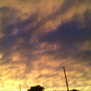 Meet your Posher, Justin